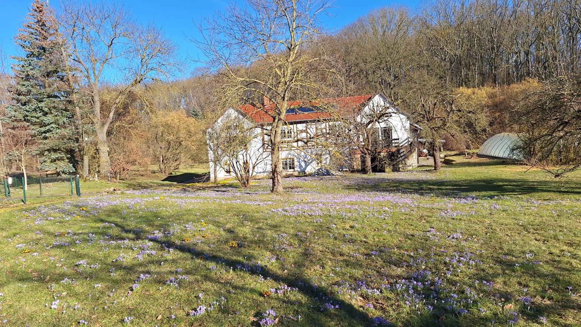 Ferienwohnung Obermuehle Ballstädt 部屋 写真